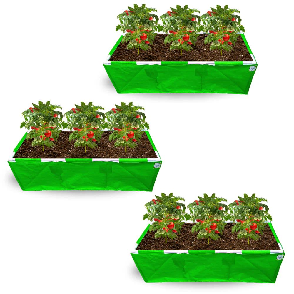 Thumbnail 11