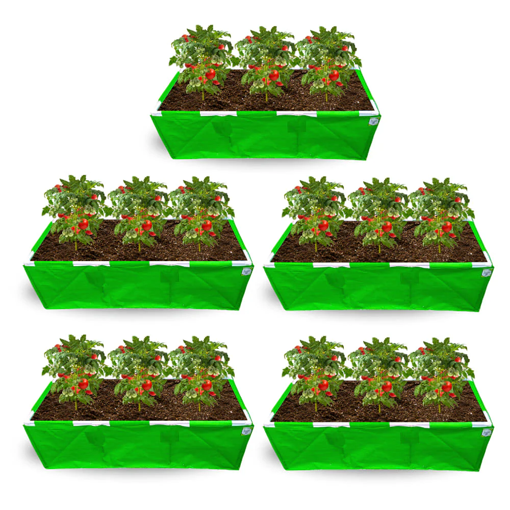 Thumbnail 12